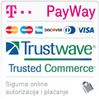 secure online payment